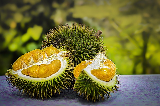 durian-3597242_640.jpg