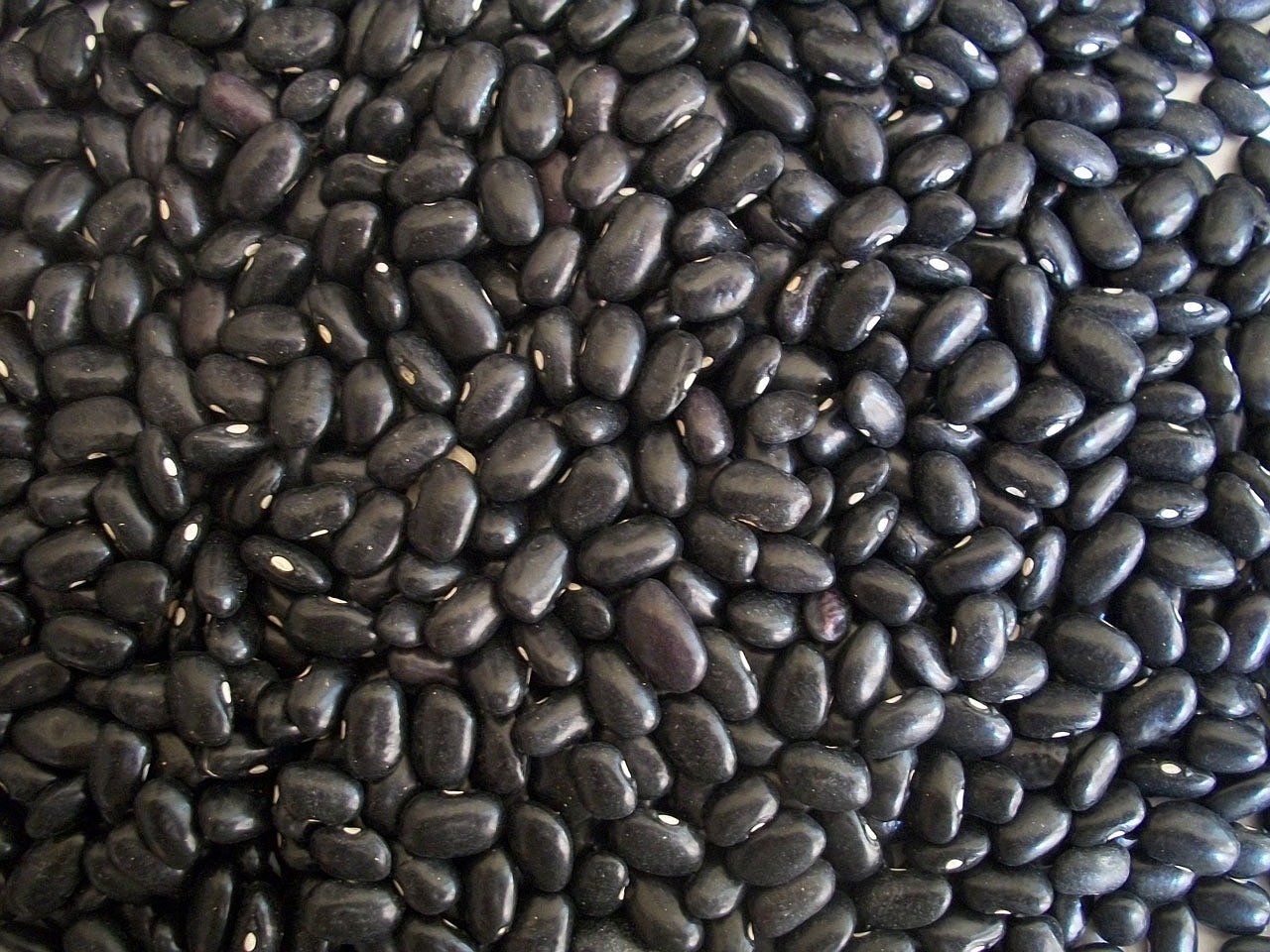 black-beans-14522_1280.jpg