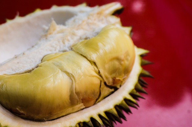 durian-6579896_640.jpg