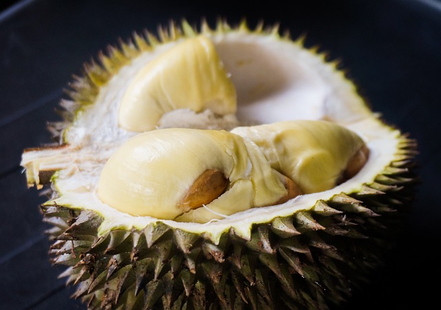 durian-6576507_640.jpg