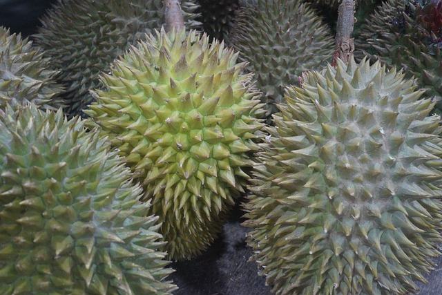 durian-fruit-2720388_640.jpg