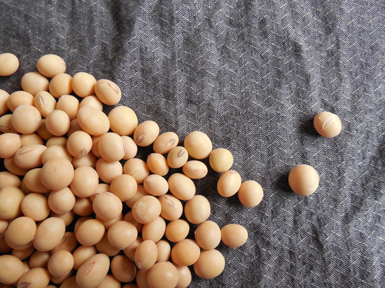 soybeans-182295_1280.jpg