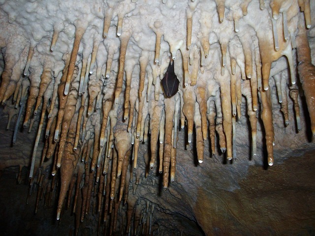stalactites-323562_640.jpg